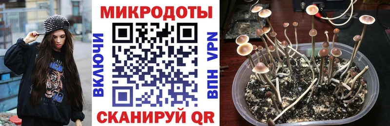 Галлюциногенные грибы Cubensis  Короча 